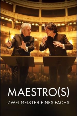 Image Maestro(s) - Zwei Meister eines Fachs – Der Film