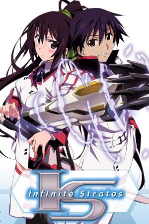 Image Infinite Stratos – Der Film