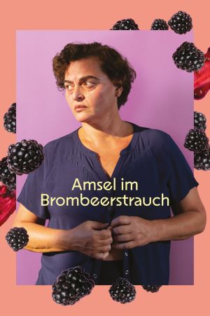 Image Amsel im Brombeerstrauch – Der Film