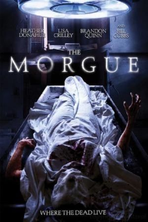 Image Morgue - Der Tod schläft nicht – Der Film
