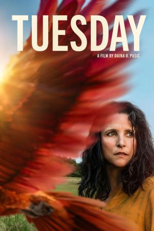 Image Tuesday – Der Film