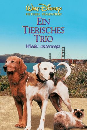 Image Ein tierisches Trio - Wieder unterwegs – Der Film
