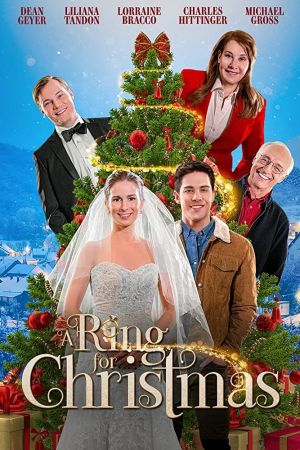 Image Hochzeit unter dem Weihnachtsbaum – Der Film