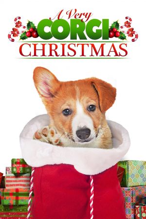 Image A Very Corgi Christmas - Liebe auf vier Pfoten – Der Film