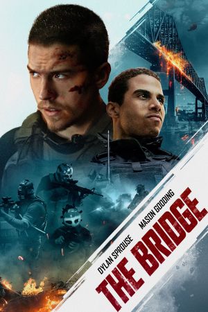 Image The Bridge – Der Film