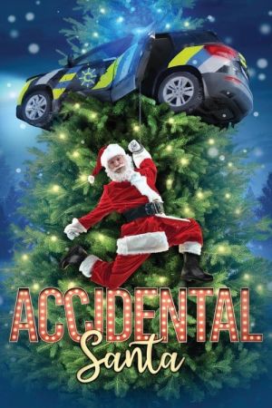 Image Accidental Santa – Der Film