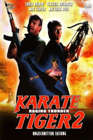 Image Karate Tiger 2 – Der Film