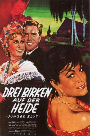 Image Drei Birken auf der Heide – Der Film