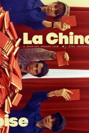 Image Die Chinesin – Der Film
