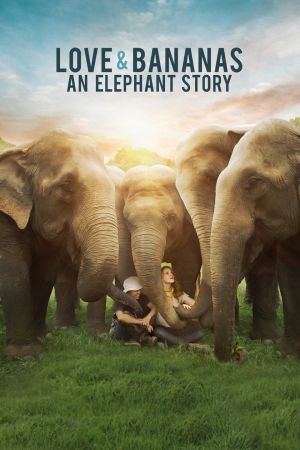 Image Love & Bananas: An Elephant Story – Der Film