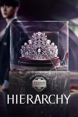 Image Hierarchy – Der Film