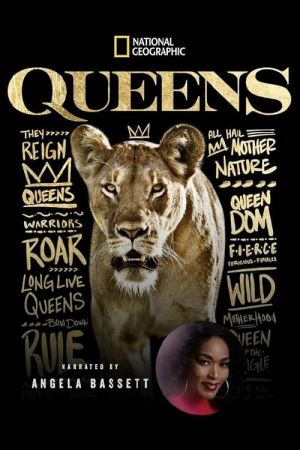 Image Queens – Königinnen des Tierreichs – Der Film