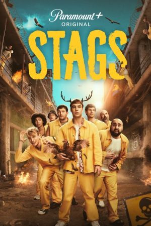 Image Stags – Der Film