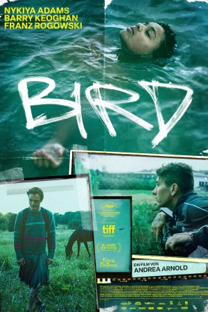 Image Bird – Der Film