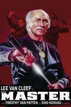 Image Der Ninja-Meister – Der Film