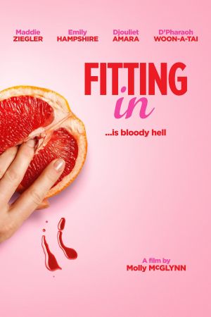 Image Fitting In – Der Film