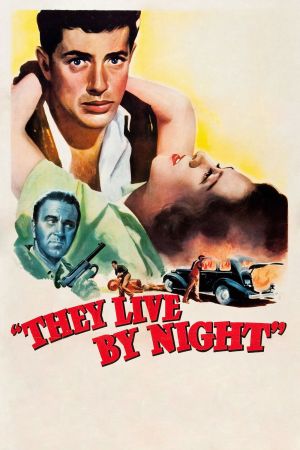 Image Sie leben bei Nacht – Der Film