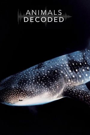 Image Animals Decoded – Der Film