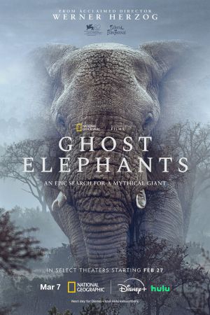 Image Ghost Elephants – Der Film