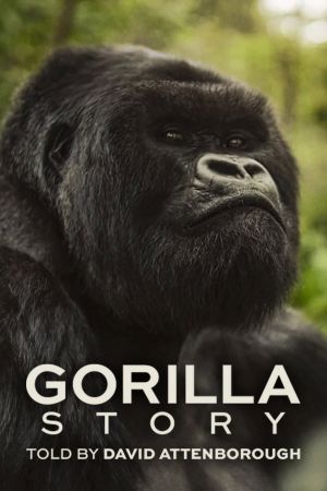 Image Eine Gorilla-Story erzählt von David Attenborough – Der Film